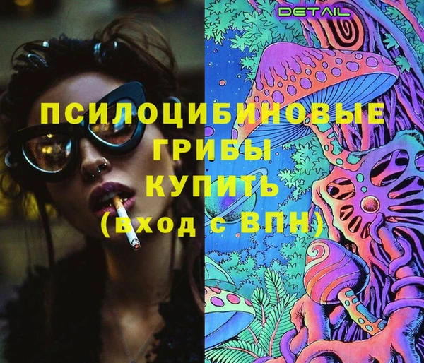 тгк Аркадак