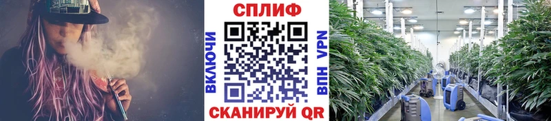 купить наркотик  Нягань  Марихуана планчик 